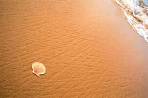 Water, beach and natural environment photo