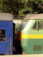 Train on Railway Tracks with Trees and Electrical Infrastructure photo
