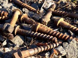 Wood and Metal Gun Accessory with Soil and Terrestrial Animal Background photo