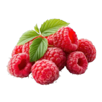 Collection of . A Cluster of Ripe Red Raspberries on a Branch with Green Leaves, isolated on a transparency background. png