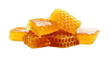 Collection of . Honeycombs, isolated on a transparency background. png