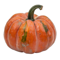 Collection of . An Orange Pumpkin with a Green Stem, isolated on a transparency background. png