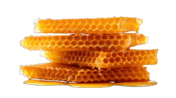 Collection of . Honeycombs, isolated on a transparency background. png