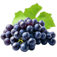 Collection of . A Cluster of Grapes with Leaf, isolated on a transparency background. png
