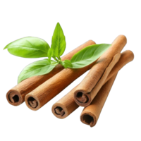 Collection of . Cinnamon Sticks with Green Herb, isolated on a transparency background. png