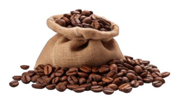 Collection of . Coffee Beans in a Sack, isolated on a transparency background. png