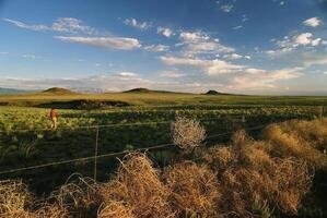 Serene Highland Landscape with Cumulus Clouds and Lush Green Grass photo