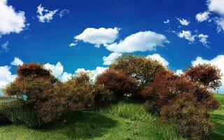 Tranquil Cumulus Clouds Over a Lush Green Landscape with Trees and Grassy Fields photo