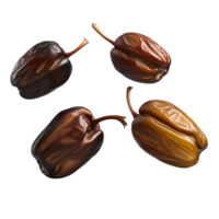 Four dates are shown on transparent background png