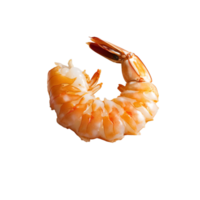 Shrimp is shown on transparent background png