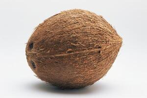 Coconut on Natural Background photo
