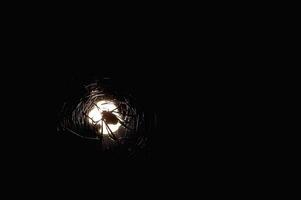 Spider in a Web Illuminated by Flash Photography at Midnight photo
