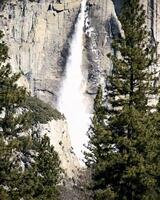 Serene Mountain Waterfall Surrounded by Lush Forest and Majestic Trees photo