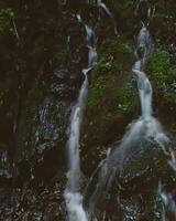 Tranquil Waterfall Cascading Through Lush Natural Landscape Surrounded by Trees and Stream Fluvial Landforms photo