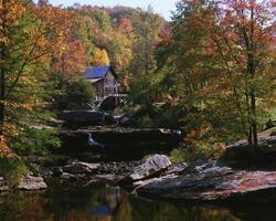 Tranquil Watercourse Surrounded by Lush Trees Under a Clear Sky photo
