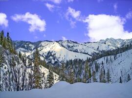 Snow-Capped Mountain Under Cloudy Sky with Larch Trees photo