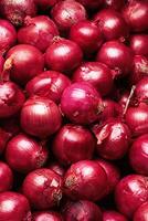 Red Onions Background photo