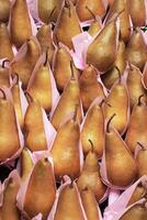 Pears Wrapped in Tissue Paper photo