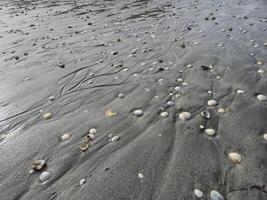 Wet Beach Sand With Sea Shells Close View Background photo