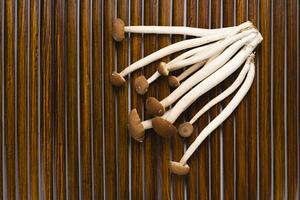 Enokitake mushroom close view background photo