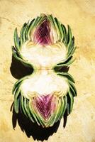 Blooming Connection. The Intersection of Nature and Humanity in Art photo