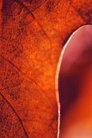 Blurry abstract conceptual background for presentation covers photo