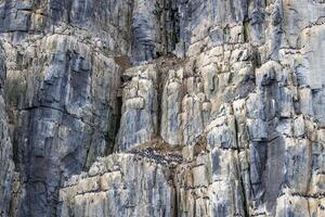 rocks waterfall and glacier at the Alkefjellet between Spitsbergen and Nordaustlandet on Svalbard, Norway photo