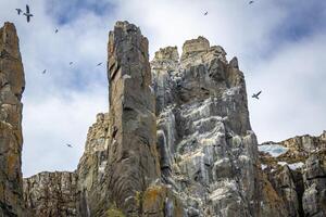 rocks waterfall and glacier at the Alkefjellet between Spitsbergen and Nordaustlandet on Svalbard, Norway photo