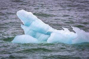 Cruising in the Hamiltonbukta on Spitsbergen and driving along glacier und bird watching photo