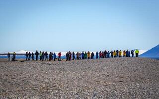 Visiting a group of walruses in the Arctic at Torellneset on Nordaustlandet on Svalbard, Norway photo