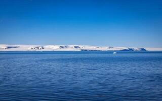 watching a group of walruses in the Arctic at Torellneset on Nordaustlandet on Svalbard, Norway photo