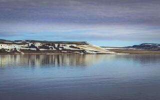 watching a group of walruses in the Arctic at Torellneset on Nordaustlandet on Svalbard, Norway photo