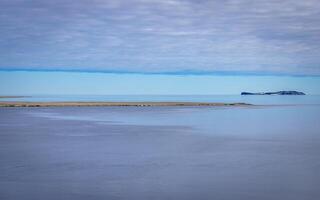 Visiting a group of walruses in the Arctic at Torellneset on Nordaustlandet on Svalbard, Norway photo