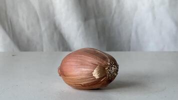 Fresh shallot resting on a kitchen counter with neutral background photo