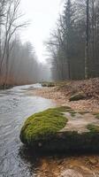 Mossy rock lies in a misty forest river in winter photo