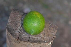 One green lemon on the billet. photo