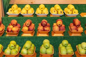 Green, red and yellow apples on the market shelf. photo