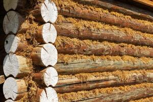 Detail of a log house, Wooden log wall. Corner of a log house photo