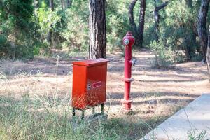 Red coloured fire hydrants and electrical panel in woodland. Security measure in the forest. photo