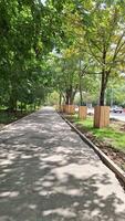 Sunny tree-lined pathway with dappled shadows in urban setting photo