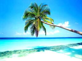 Palm Trees Background, Vacation Composition photo