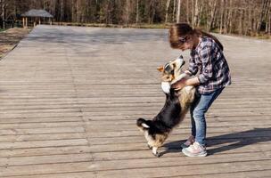 A little girl hugs her corgi puppy on the street. A cute kid in casual clothes is laughing and playing with her dog on a wooden platform. photo