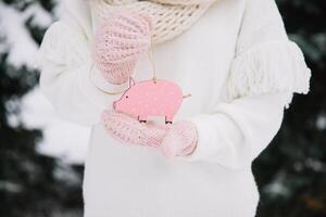 Girl in a white cap, sweater and mittens holding toy pig outside at winter snowy cold day, ready to celebrate new year and Christmas. photo