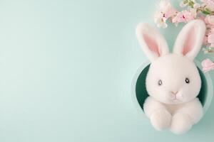 White rabbit peeking from a hole in a mint green background during daylight hours photo