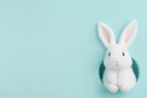 White rabbit peeking from a hole in a mint green background during daylight hours photo