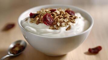 Delicious yogurt bowl topped with granola and cranberries served in a white dish photo