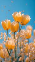 Vibrant yellow tulips surrounded by bees in a sunny spring garden moment photo