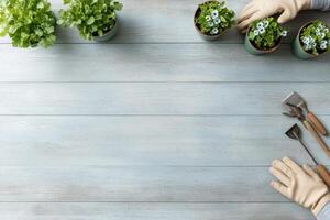 Hands in green gloves tending to flowering plants in pots on a light surface photo