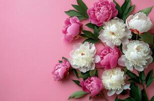 Beautiful arrangement of pink and white peonies on a soft pink background in spring photo