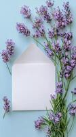 Lavender sprigs and blank envelope arranged on a blue background photo